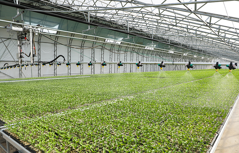 縣農(nóng)業(yè)園苗樂農(nóng)業(yè)科技公司