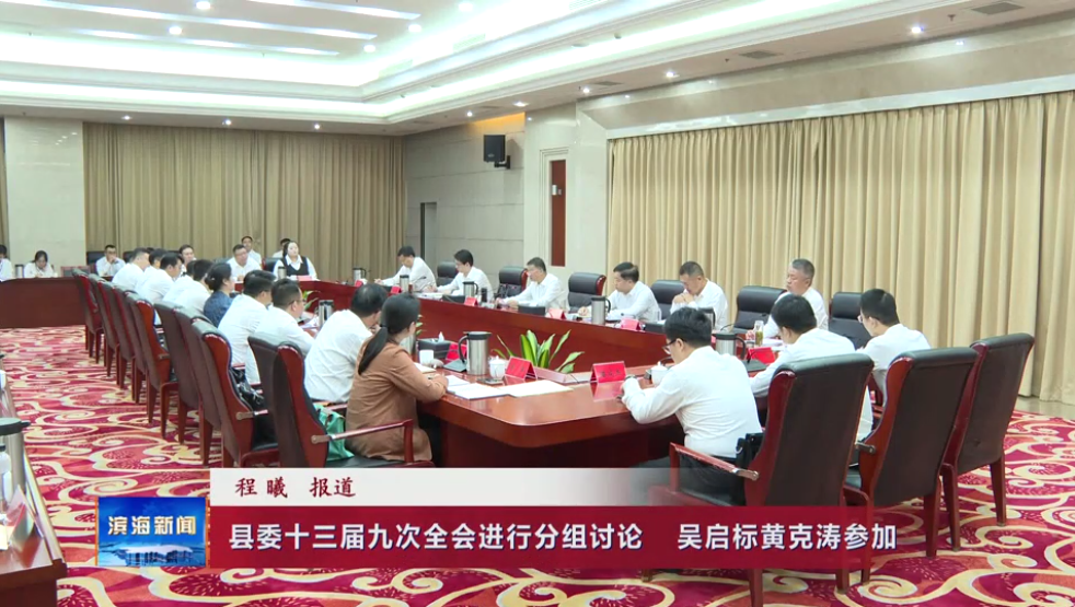 縣委十三屆九次全會進行分組討論?吳啟標黃克
