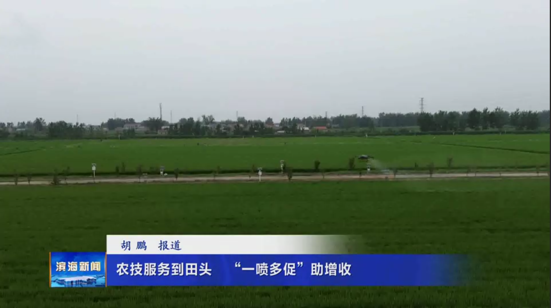 農(nóng)技服務(wù)到田頭?“一噴多促”助增